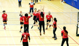 气排球基本功教学视频,掌握基础技巧，轻松入门气排球